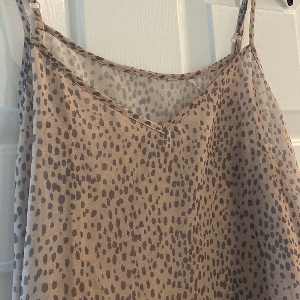 Express sheer top - Picture 3 of 3